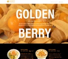 NCXX FARMのHPにGOLDEN BERRYの紹介ページ新設